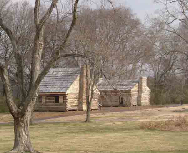 Jackson cabins