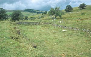 Le Béage chartreuse