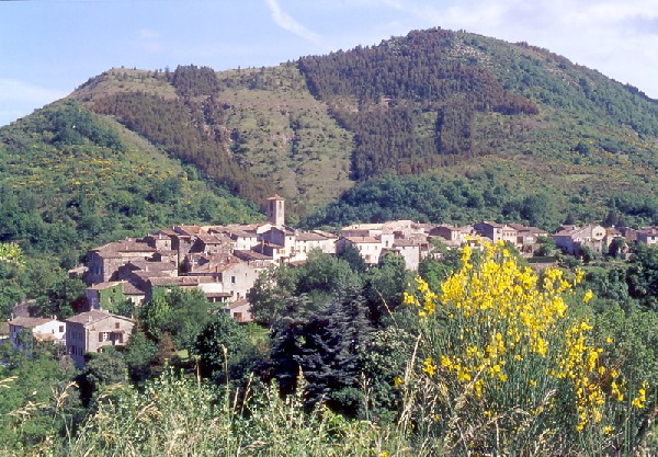 Coux vue générale