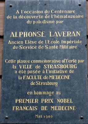 Plauque Laveran