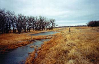 Sand Creek Site