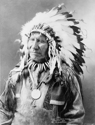 American Horse Elder